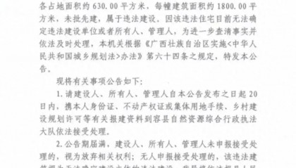 两栋600平违建别墅找不到房主？真找不到还是不想找