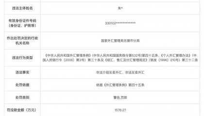 非法买卖外汇,个人收千万级罚单