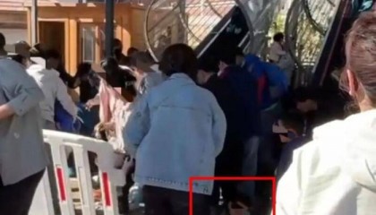 张家口一景区观光魔毯失控,多名游客被甩出,文旅局介入调查