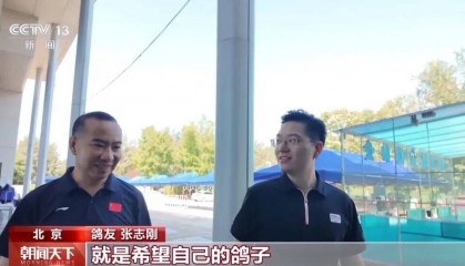 明天将放飞8万羽和平鸽、8万只气球,揭秘!