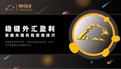 稳健外汇盈利:掌握关键风险管理技巧
