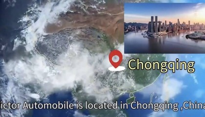 维可通汽车“出海”加速,橙柚青助力打造国际官网