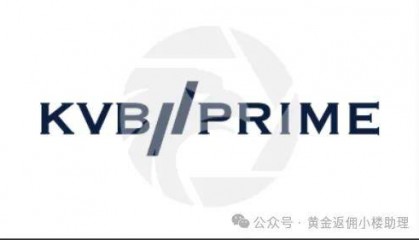 KVB昆仑国际外汇平台支持哪些入金的方式?