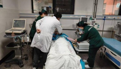 博爱县清华镇卫生院:蜂毒蜇人致休克 妙手施治解蜂毒