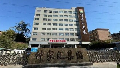 仲家汇“蛇吞象”入驻济南,疑似资金紧张质押变卖子公司股权