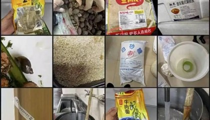 上海世外临港学校食材腐败发霉！据统计：超百学生曾出现腹泻等症状