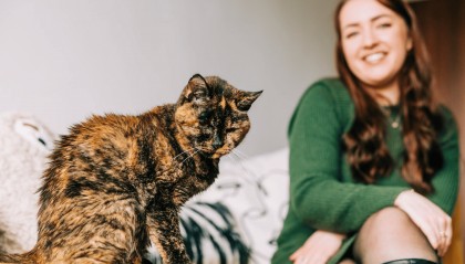 世界上最长寿的猫30“大寿”，依旧蹦跳活跃！出生时是流浪猫，前两任主人均已去世