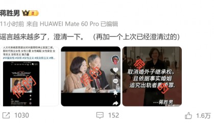 蒋胜男辟谣“建议对未婚男性停发工资”