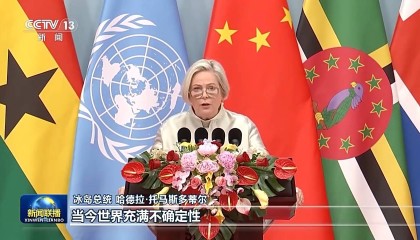 习近平主席在全球妇女峰会开幕式的主旨讲话引发中外人士热烈反响