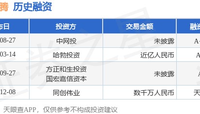 龙讯旷腾公布A++轮融资,投资方为中网投