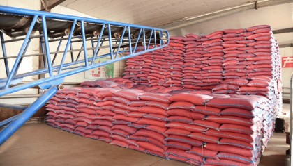 前进农场有限公司种子包衣“穿红装”争夺春耕主动权