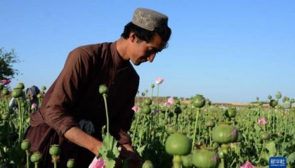 朱永彪:执政三年半,阿富汗塔利班距离加入国际社会还有多远?