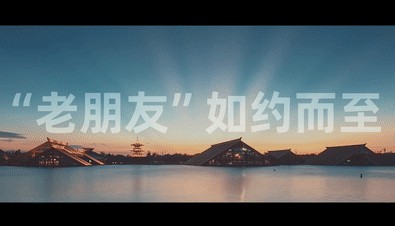 进博会|开放·合作·共享