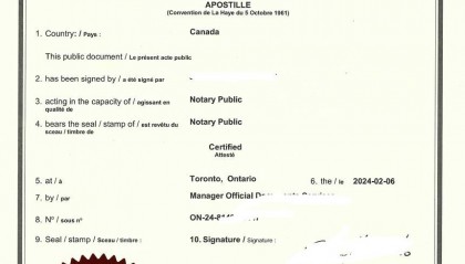 人在加拿大办理中国国内外汇申请与汇出委托书加拿大海牙认证