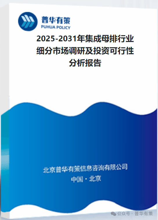 2025-2031年集成母排行业细分市场调研及投资可行性分析报告