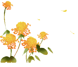 九九重阳,共品传统韵味里的安康岁月