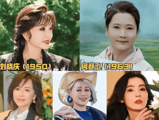 考古|何赛飞录节目把刘嘉玲刘晓庆等嘉宾得罪完,她是情商低还是真性情?