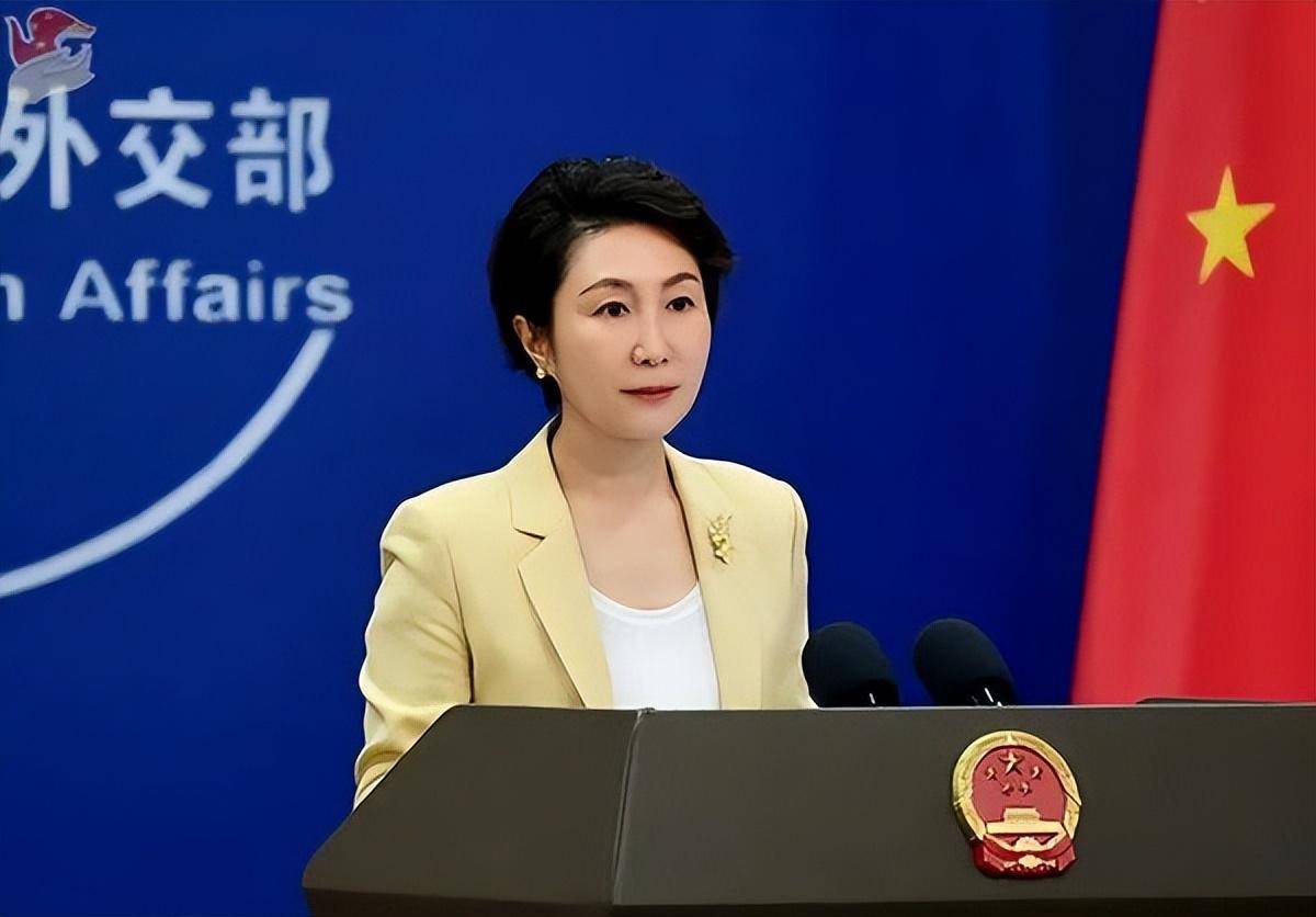 外交部：中方没兴趣搜集