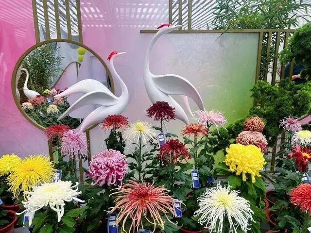 “冻”真格了!北京下周最低温降至冰点下;年底,北京将有八大火车站!北京5家医院试点“预住院”丨朝闻北京