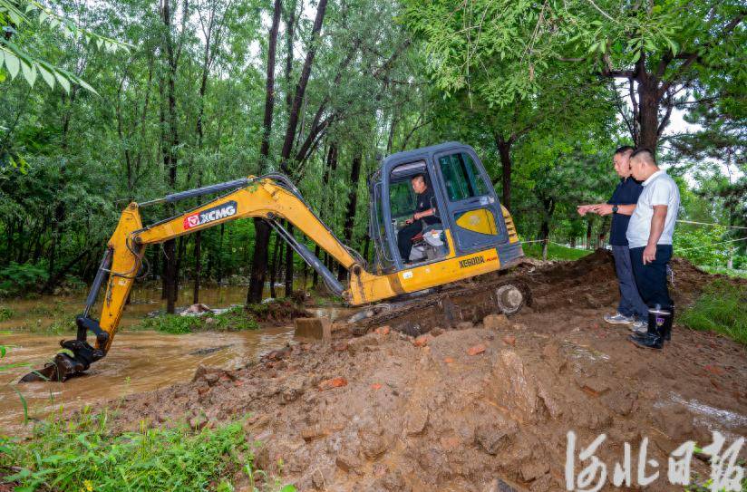 唐山市迁西县旧城乡龙王庙村：清淤排险，为群众筑起“安全坝”