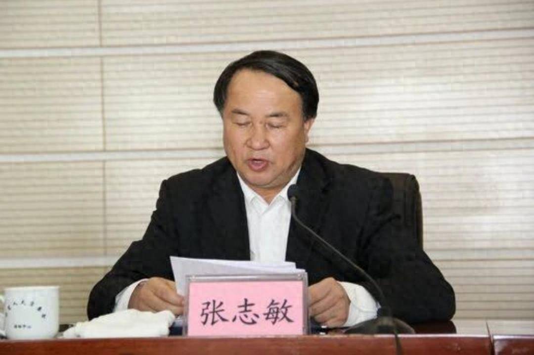 正厅级张志敏，被查